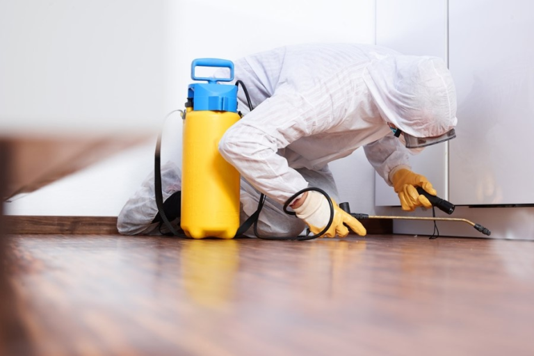 What Are The Benefits of Home Pest Control?